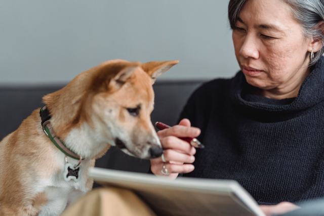 Signaler la mort de son chien ou de son chat au fichier I-CAD Signaler la mort de son chien ou de son chat au fichier I-CAD