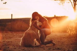 Combien de temps dure un deuil animal ?